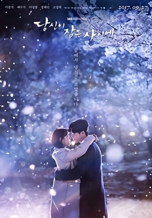 While You Were Sleeping Official promotional poster.